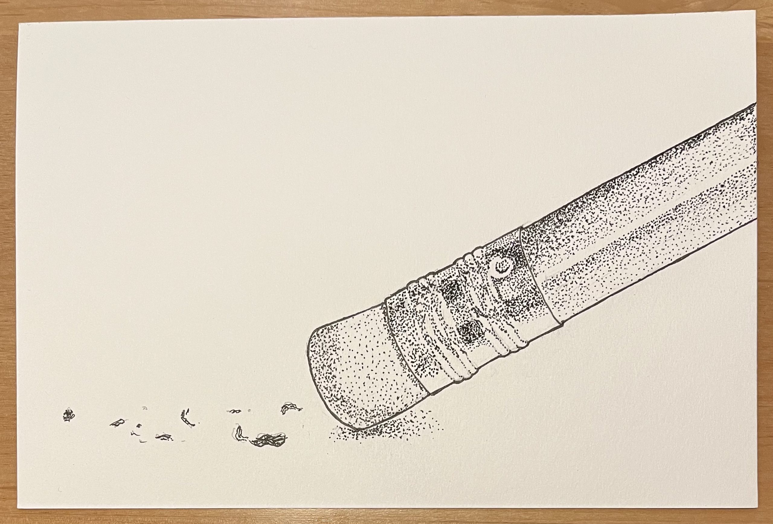 A pen and ink drawing of a pencil erasing, leaving a trail of rubber bits.